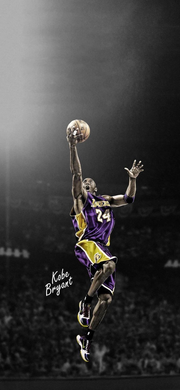 北美战队 北美战队